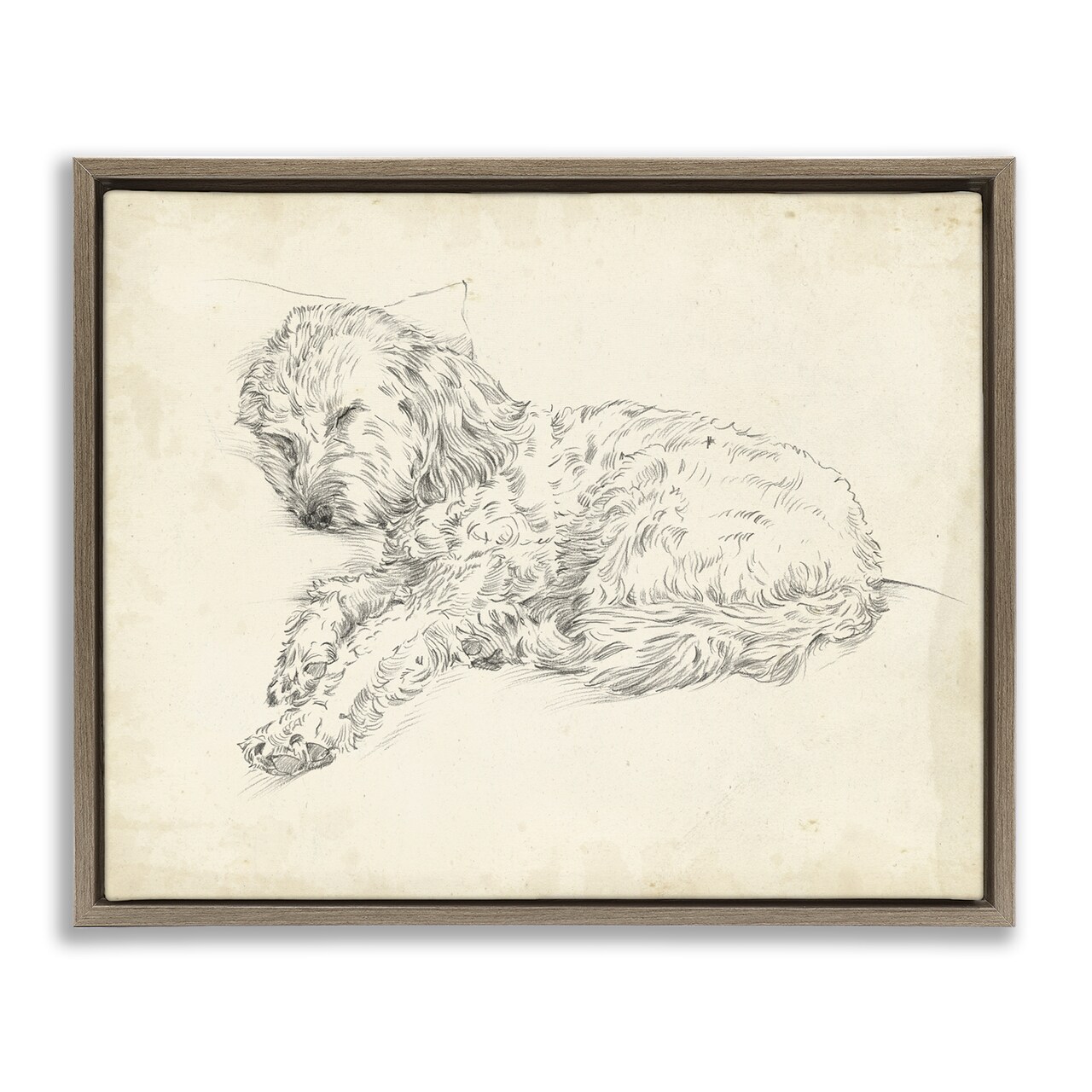 Stupell Industries Antique Sleeping Dog Sketch Floating Frame By Ethan Harper